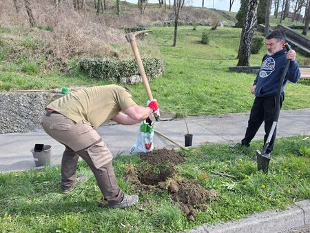 4_Vojkov drevored (4)